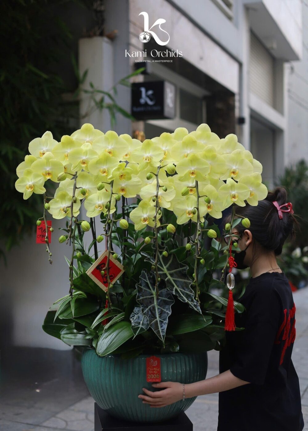 Lan hồ điệp thiết kế theo yêu cầu 01